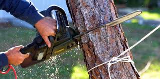 Best Lawn Maintenance Plans  in Navesink, NJ