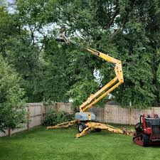 Best Lawn Pest Prevention  in Navesink, NJ