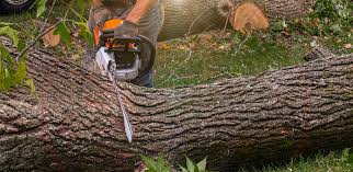 Best Mulching Services  in Navesink, NJ