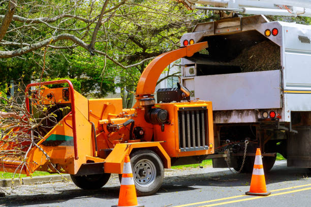 Best Soil Testing and Treatment  in Navesink, NJ