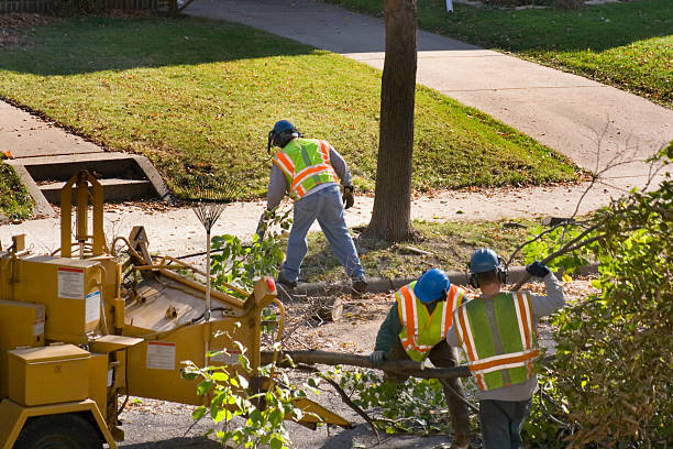 Best Lawn Maintenance Plans  in Navesink, NJ