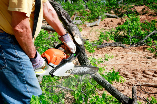 Best Soil Testing and Treatment  in Navesink, NJ